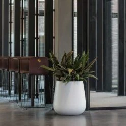 Pax Essentials Planter - Matt White -Indoor Plants Store pax planters essential matte white office reception plants