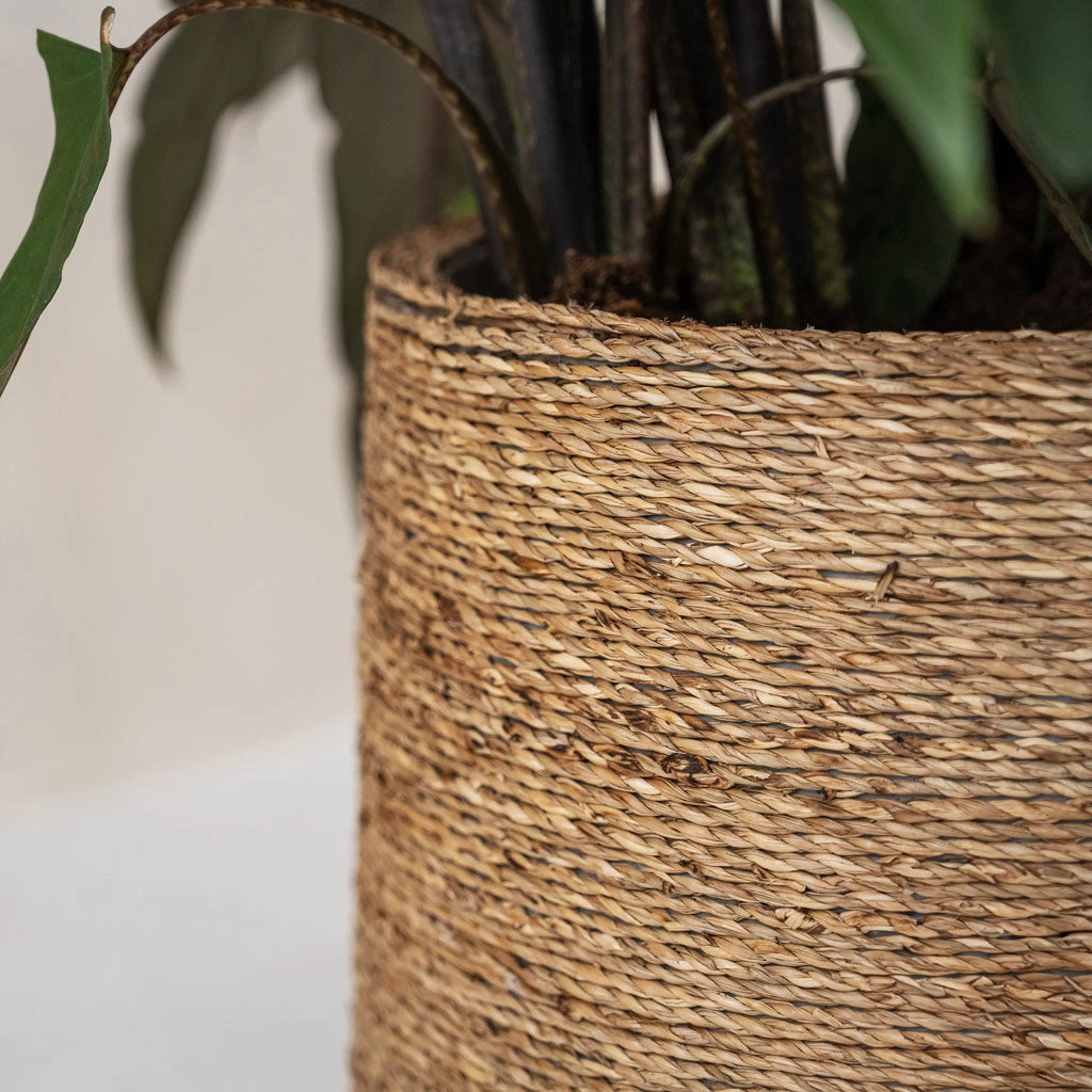 Patt Plant Pot - Straw Grass 4 Patt Plant Pot - Straw Grass - Image 2
