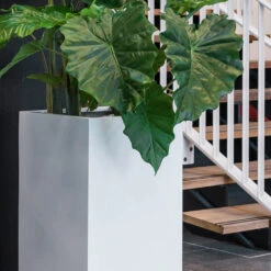Bouvy Essentials Planter - Matt White -Indoor Plants Store pottery pots essential matte bouvy 7