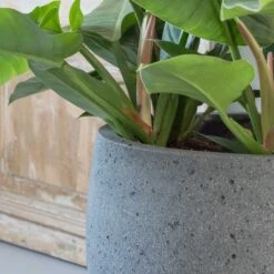 Mini Orb Cement & Stone Plant Pot - Granite Grey -Indoor Plants Store pottery pots stone orb 2