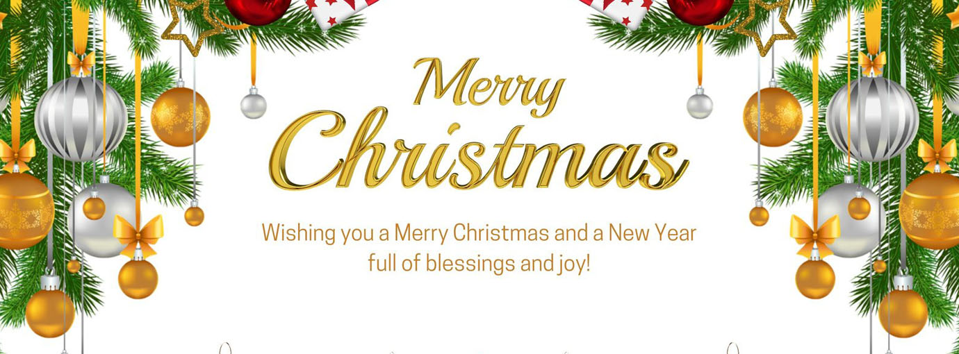 Indoor Plants Store 1 Indoor Plants Store -Indoor Plants Store 119